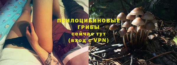 тгк Алексеевка
