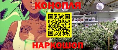 ешки Краснознаменск